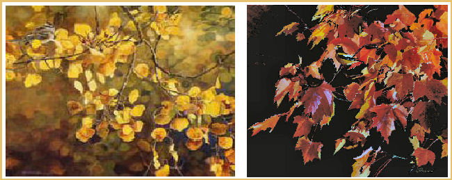 Autumn Gold & Colour of Autumn